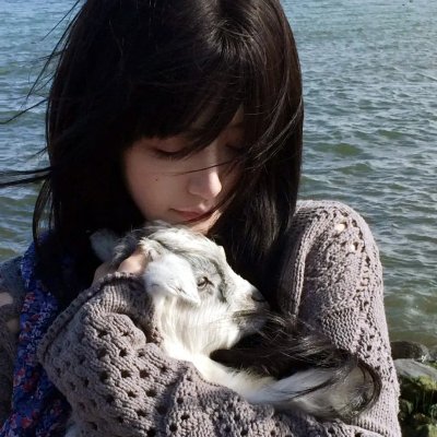 中华熊猫